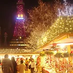 Hills Sapporo 201