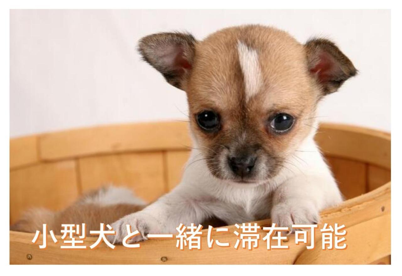 小型犬と滞在可能な4ldktipeアパートメント貸切1室限定2022年4月完成 Apartment