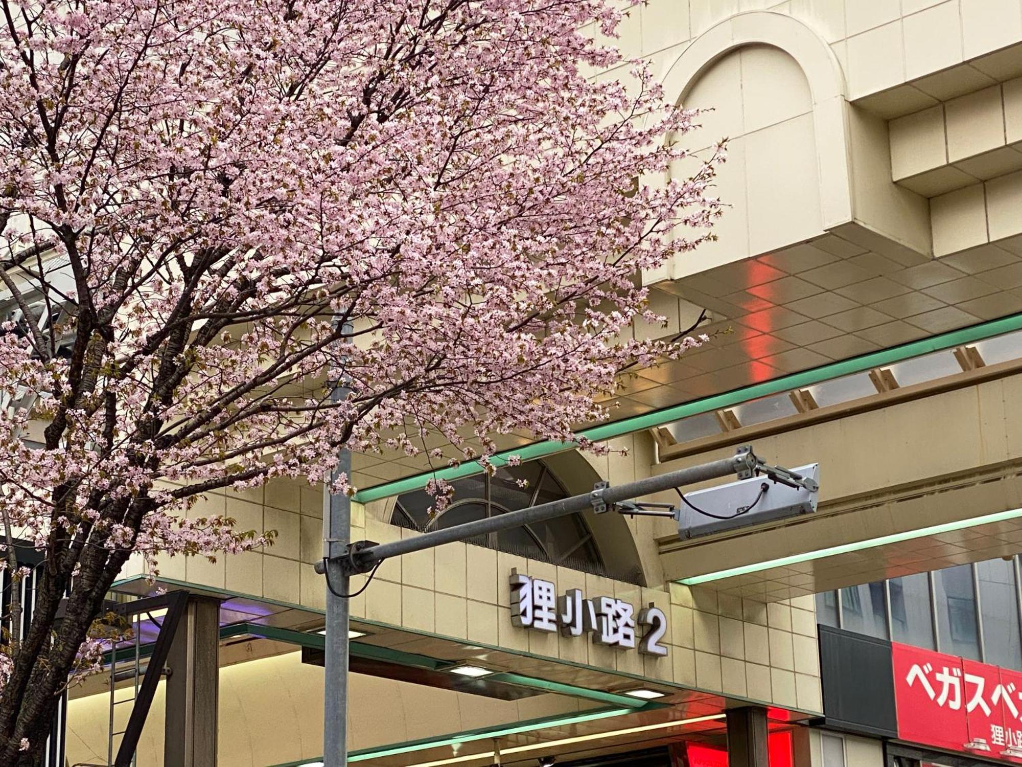 Mercure 4*