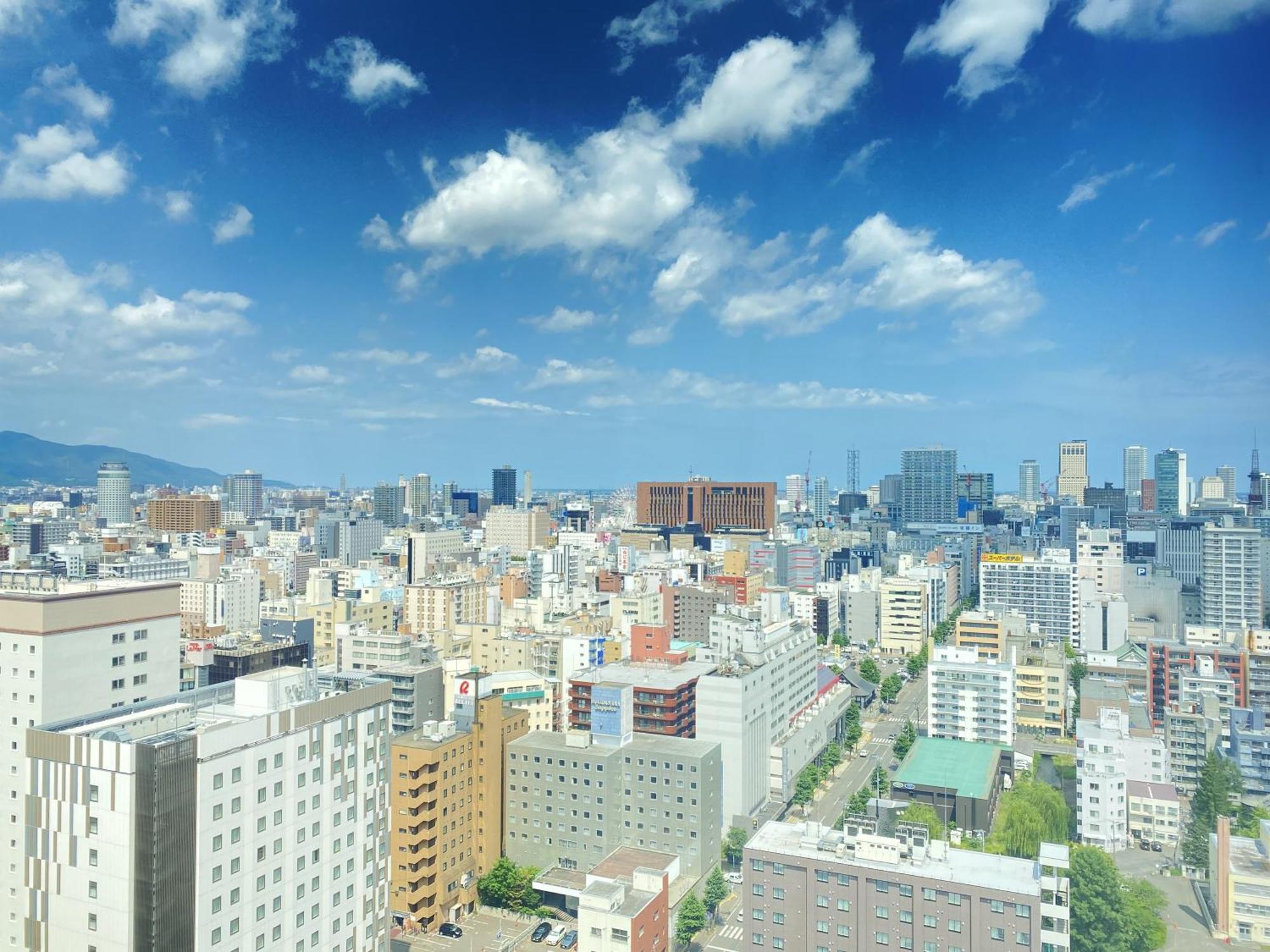 Hotel Mystays Premier Park