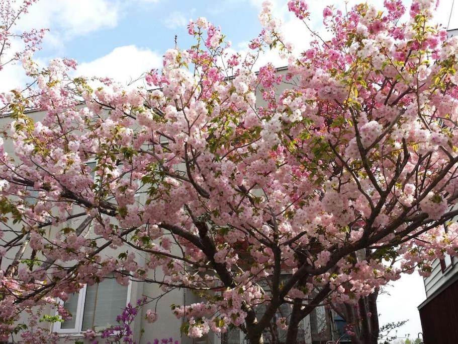 Guest house 川と森の静かな街に朝陽の見える部屋 無料駐車場 *