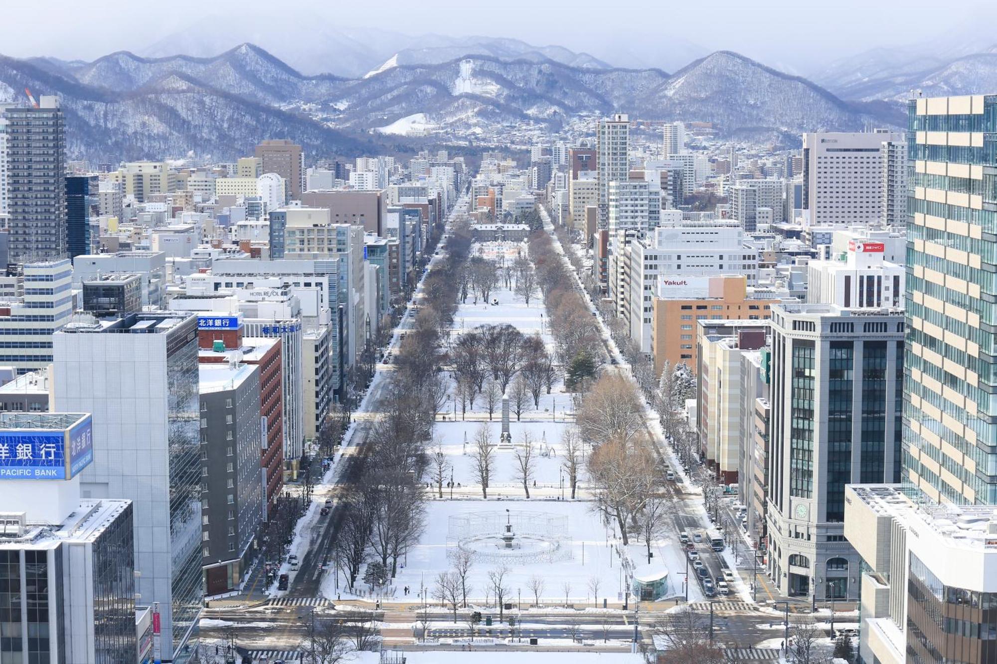 Western Odori Koen Hotel 3*