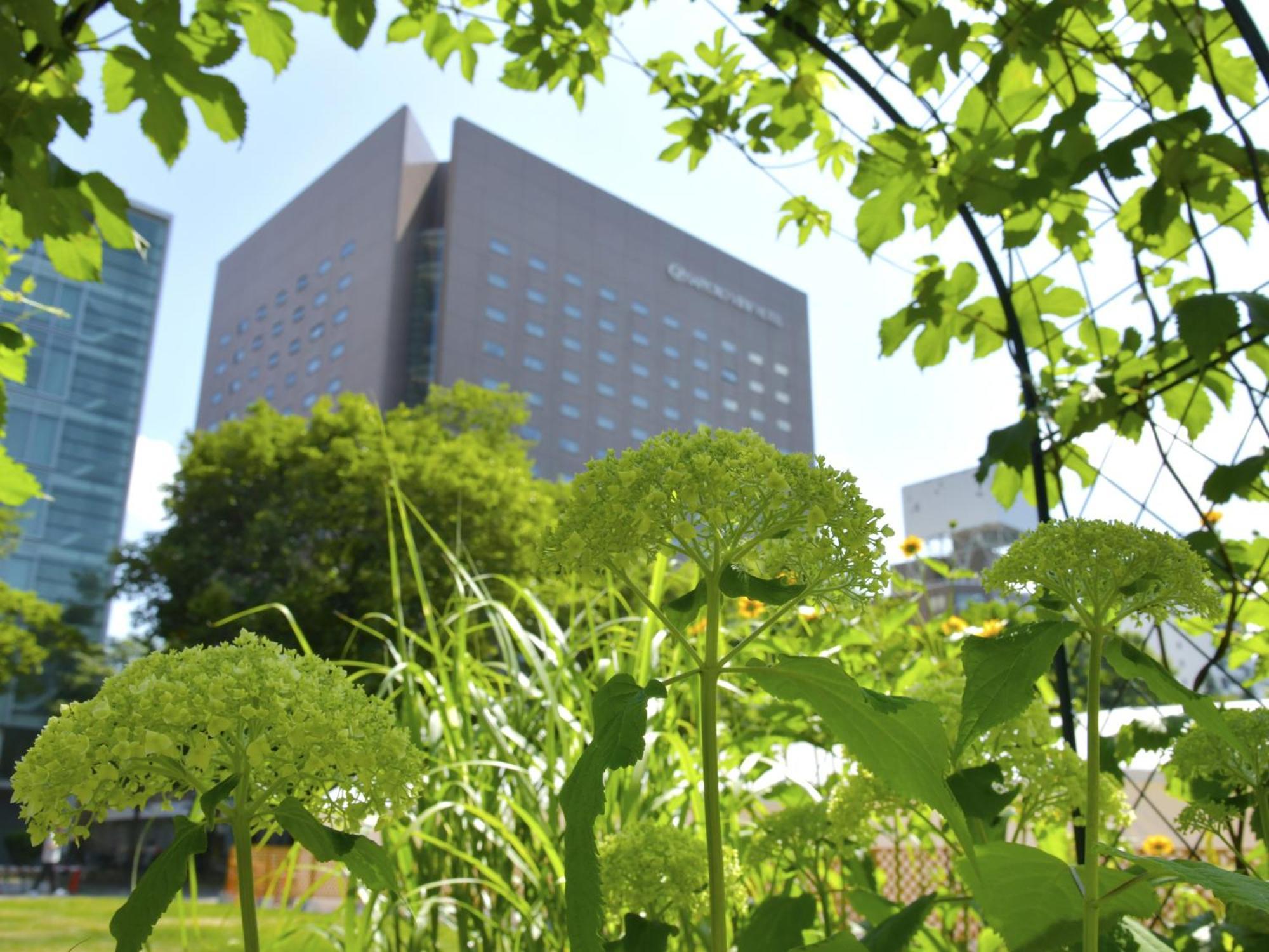 View Odori Park