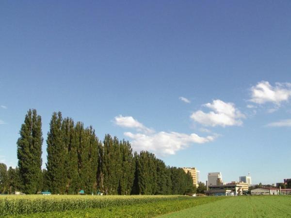 Clark Hotel Sapporo