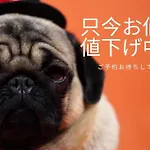 すすきの駅から徒歩9分 アクセス便利 Shimaya Building 605 島屋ビル