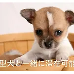 小型犬と滞在可能な4Ldktipeアパートメント貸切1室限定2022年4月完成