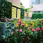 Tmark City Hotel Sapporo - Vacation Stay 90461V