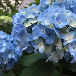 Hotel Tetora Spirit Sapporo - Vacation Stay 59365V