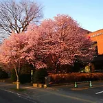 Hotel Tetora Spirit Sapporo - Vacation Stay 59365V