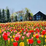 Warm House2