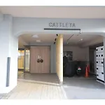 Mansion Cattleya - Vacation Stay 18096