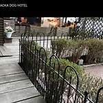 Sapporo Hiraoka Dog Hotel