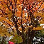 Hdo Sumikawa Villa