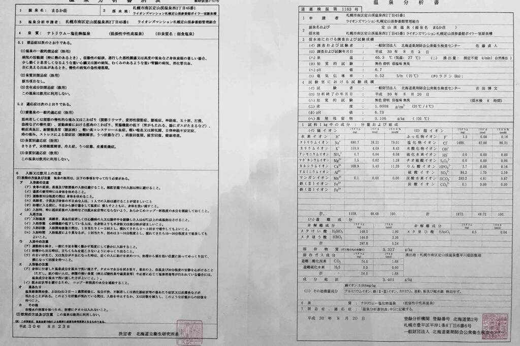 Molinhotels205 -sapporo Onsen Story- 1room S-bed6 6persons Apartment Sapporo