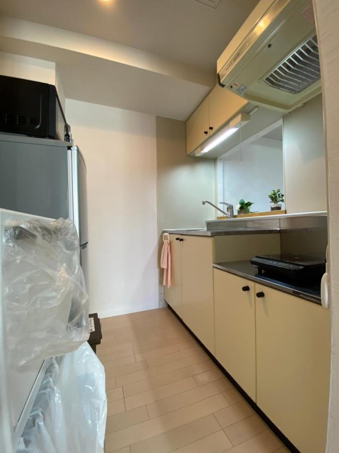 Apartment Downtown Area Spacious Cozy Susukino Ik501
