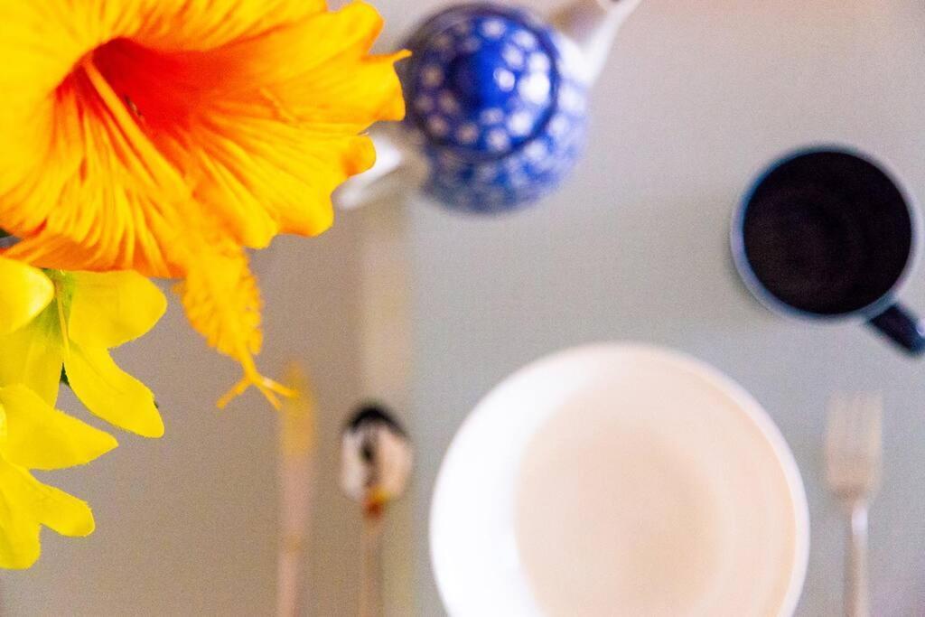 Apartment Commence ⅲ