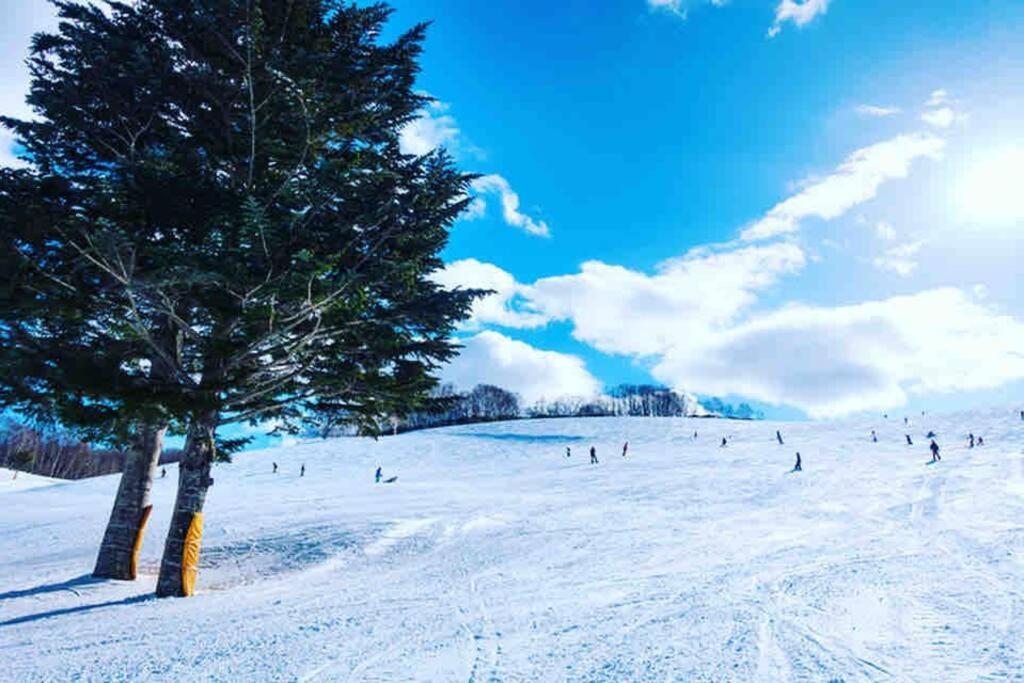 Molinhotels602 -sapporo Onsen Story- 1l2room S-bed8 8persons *