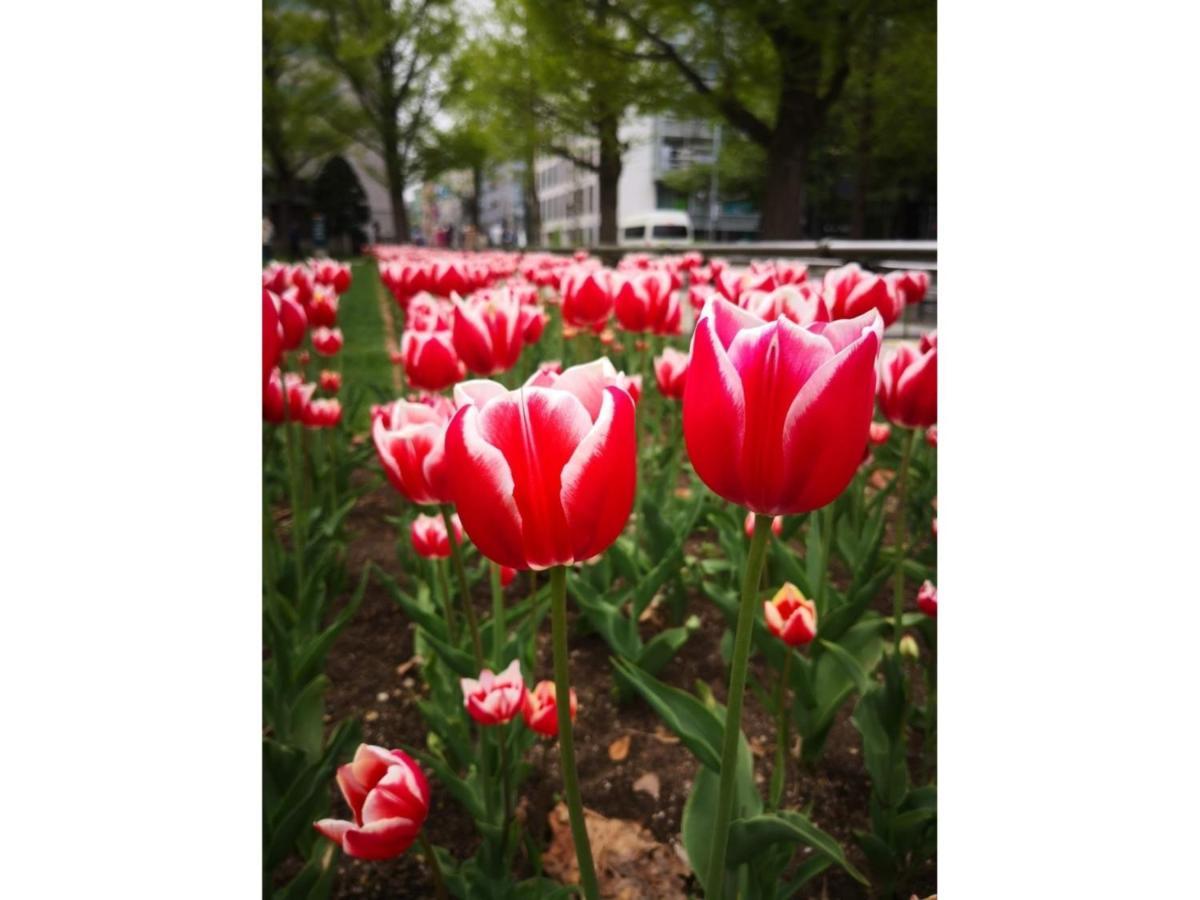 Hotel Tetora Spirit - Vacation 59365v Sapporo