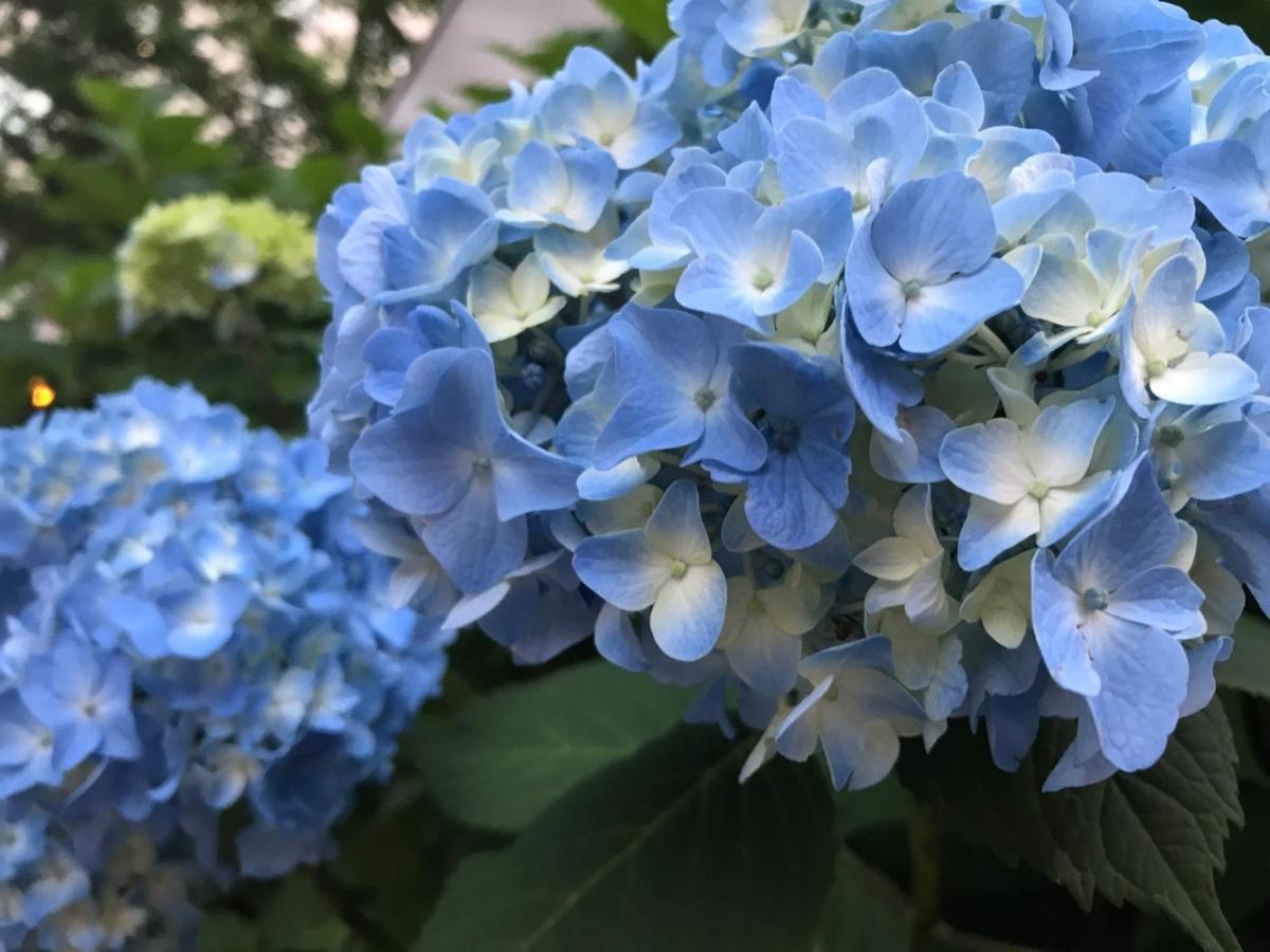 Hotel Tetora Spirit - Vacation 59351v Sapporo