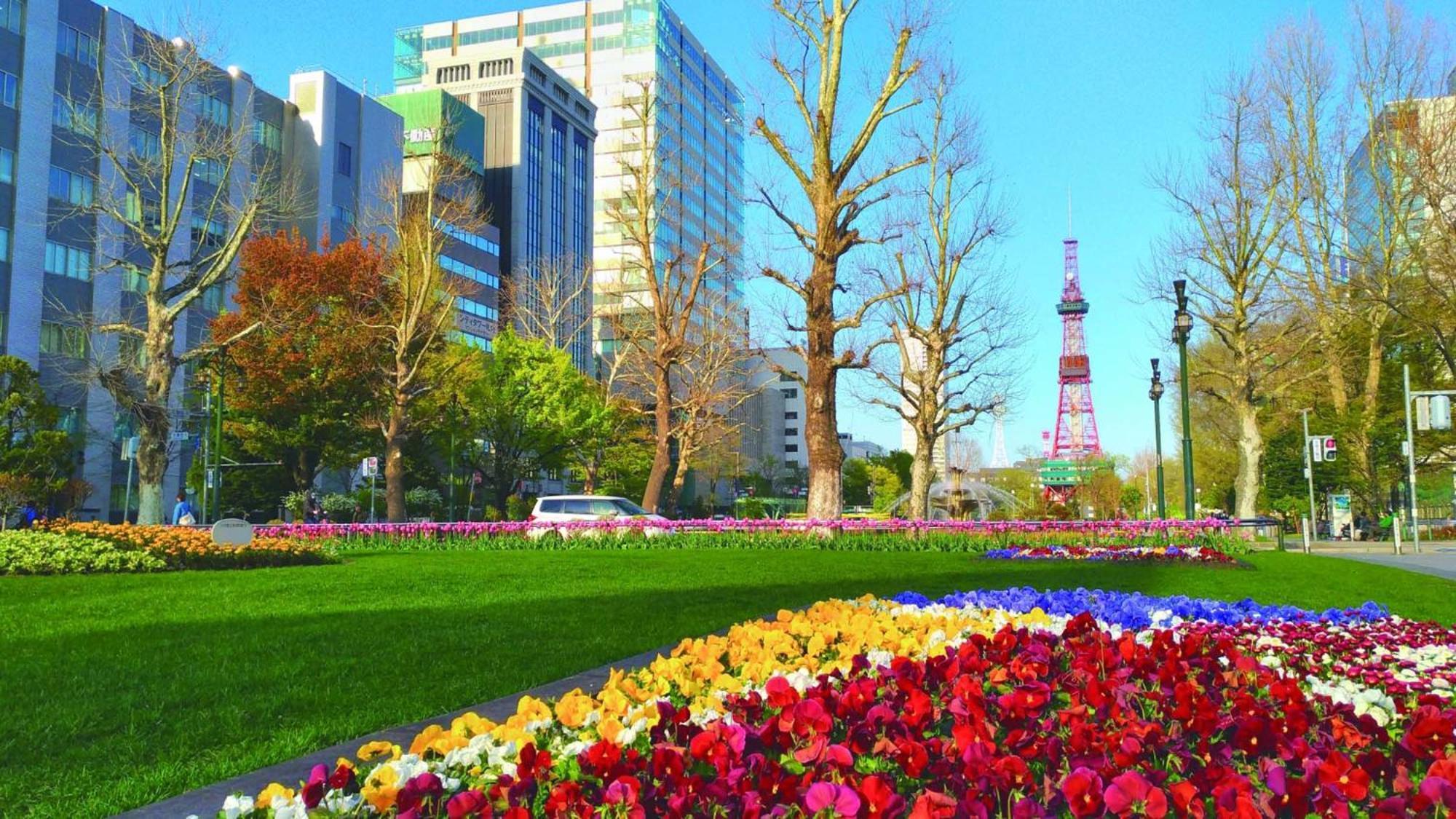Hotel Toyoko Hokkaido Susukino Junction
