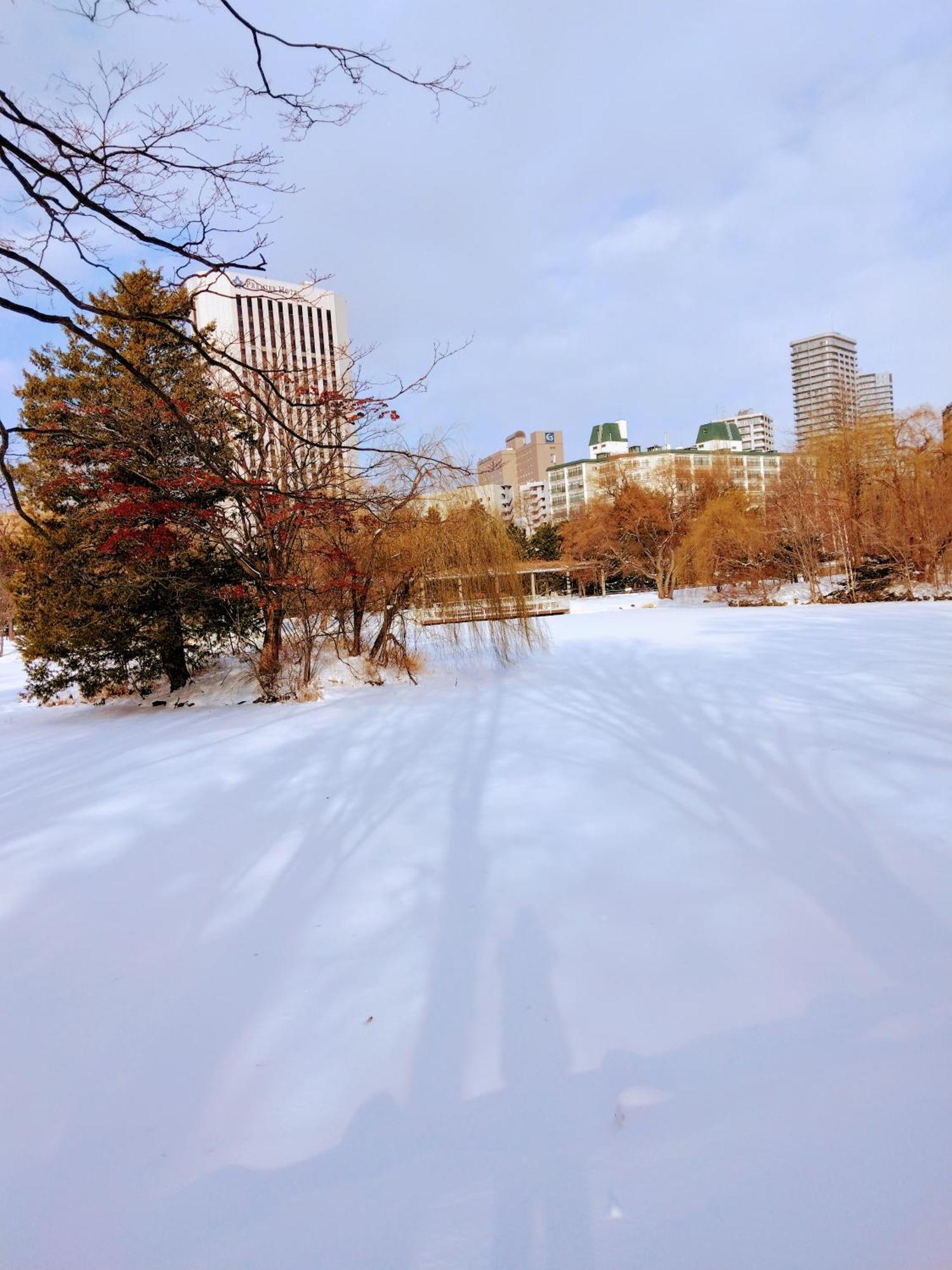Apartment Aup178 Sapporo
