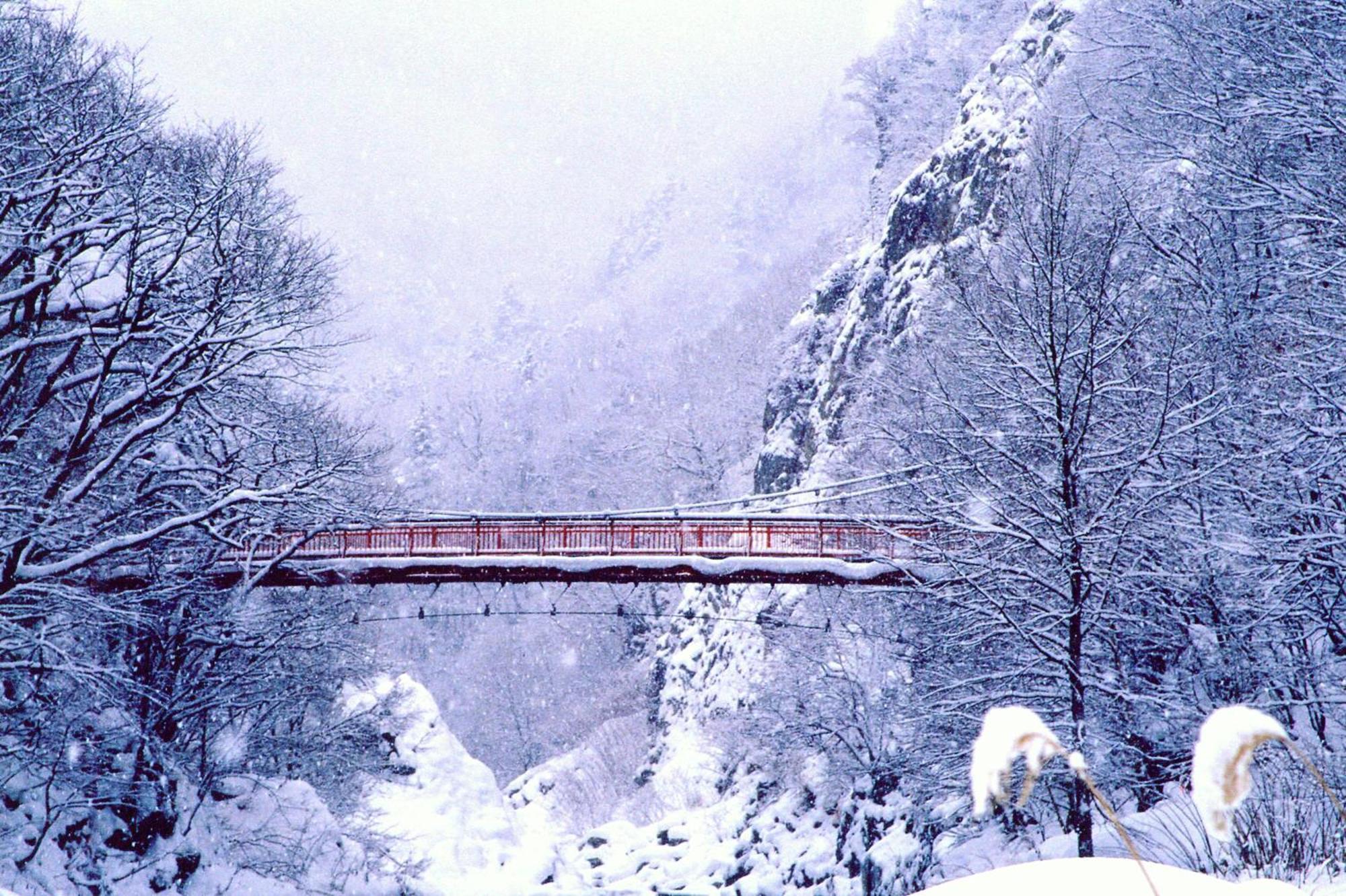 Luxury Sapporo