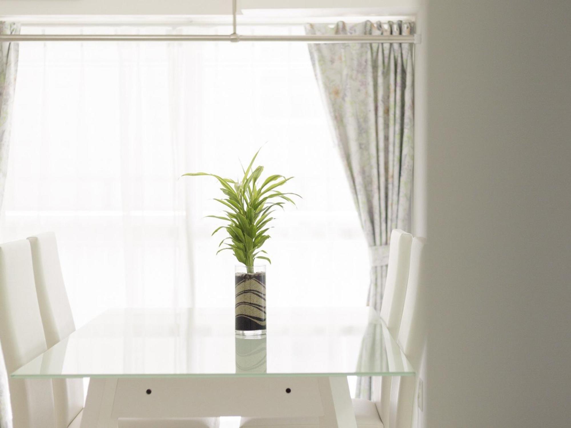 Apartment シャトーひらぎし