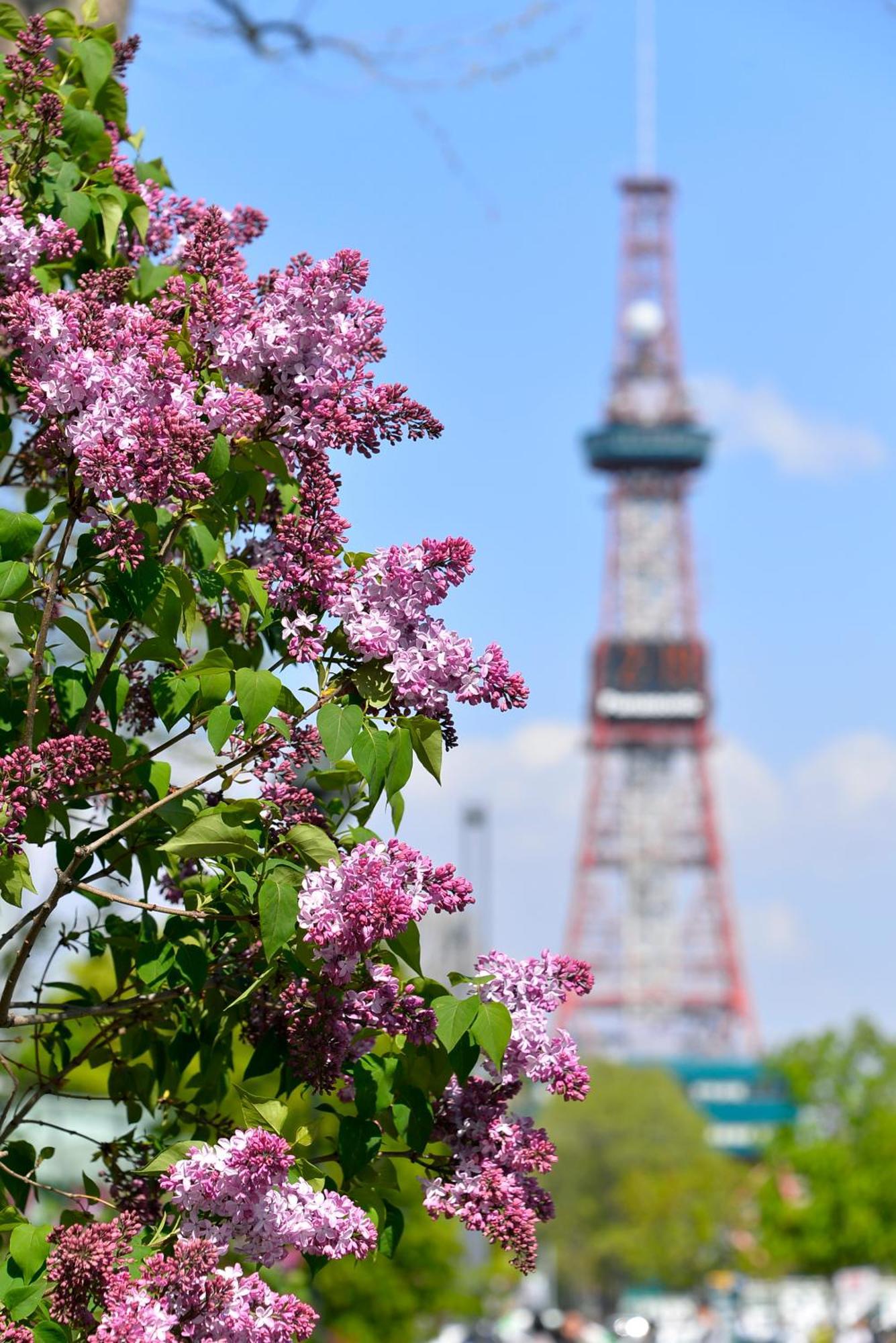 貸切3階建て Pon Yama Holiday home Sapporo