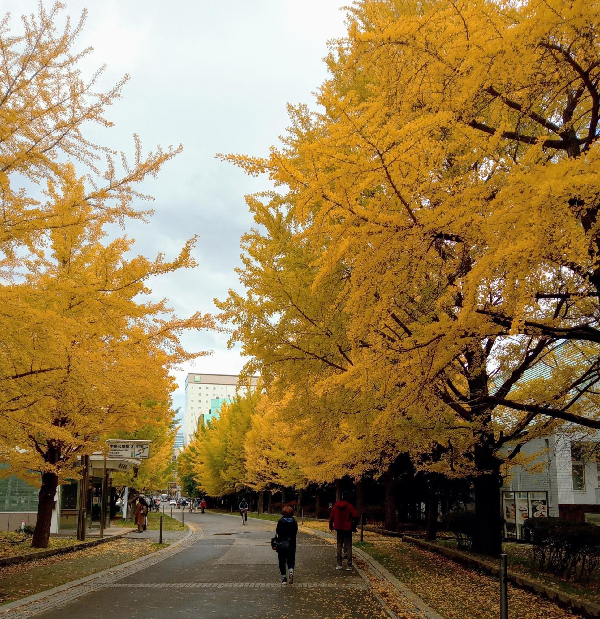 Aup178 Sapporo