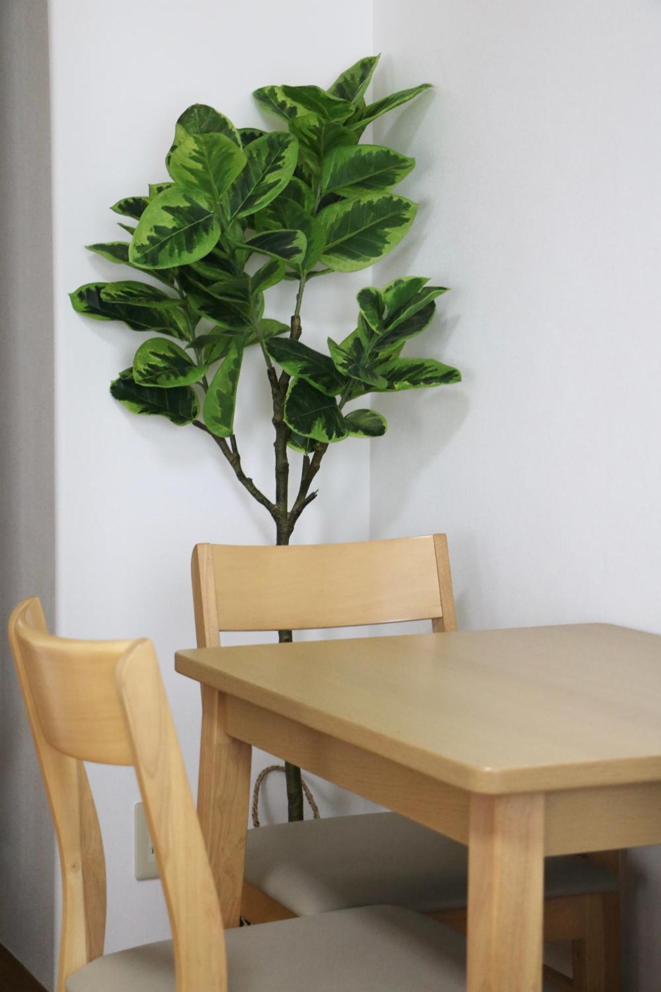Northern Palace 77 By Minova Apartment Sapporo