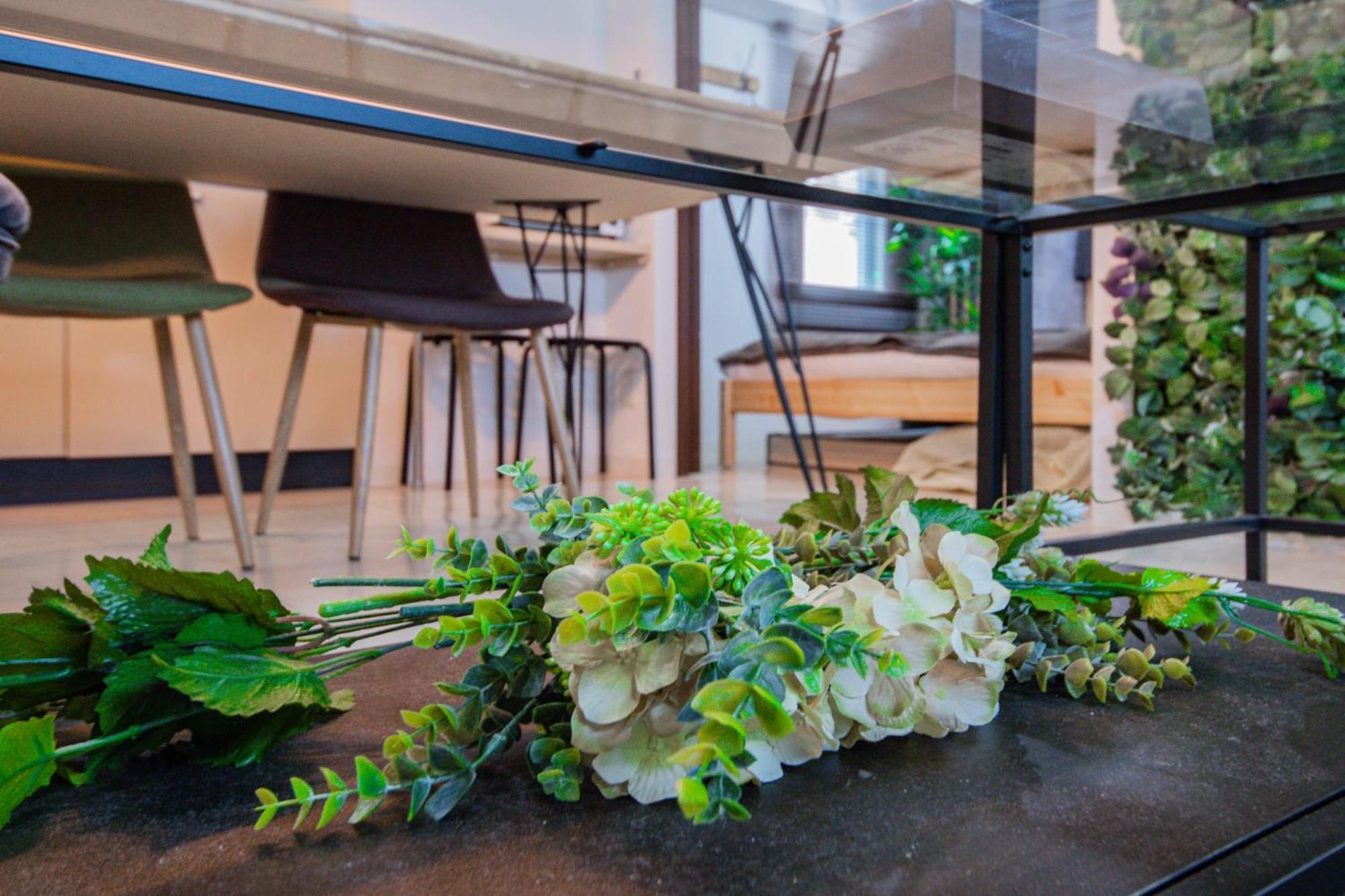 Classe Cinq Apartment