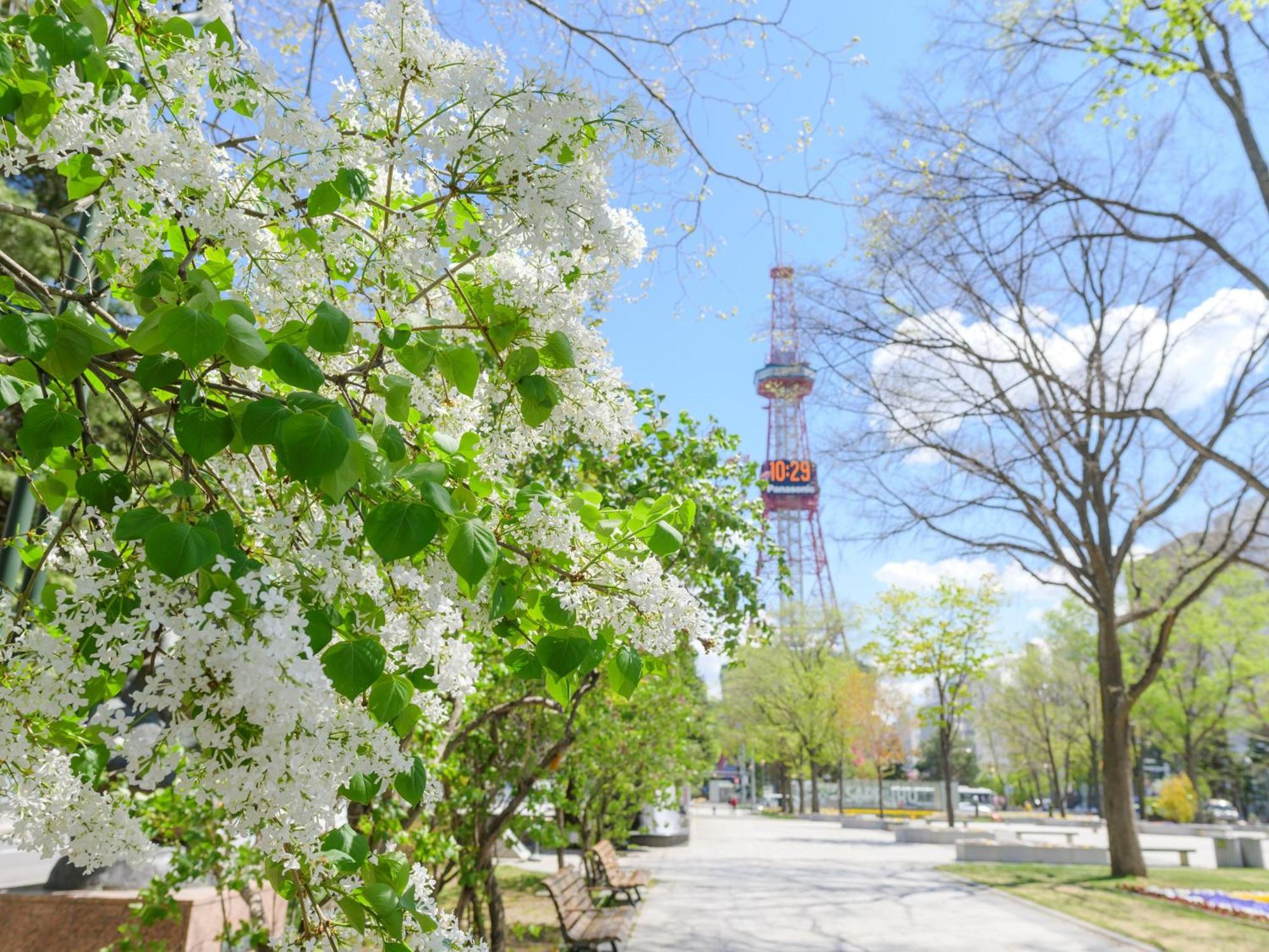 Odysis Odori Koen * Sapporo