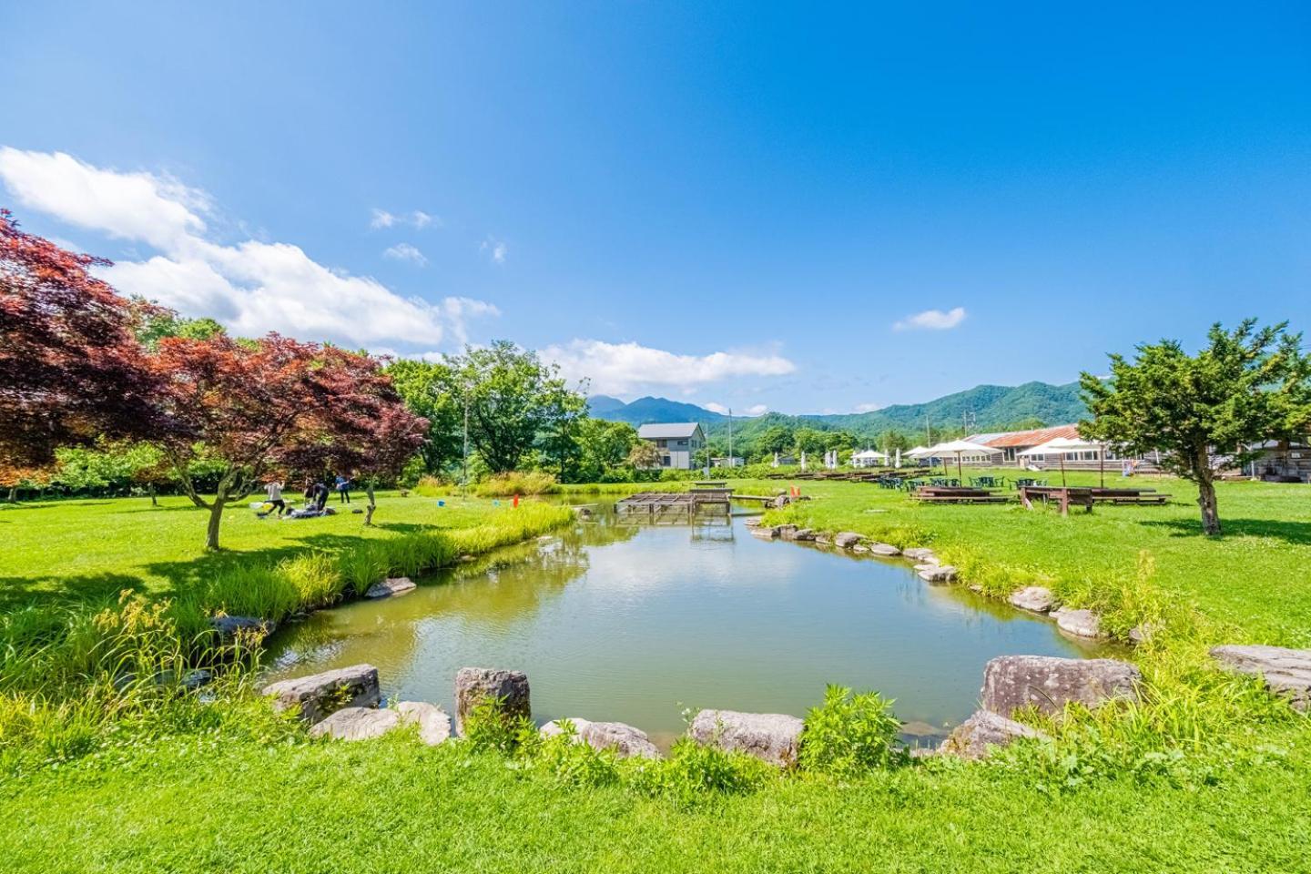 Molinhotels205 -sapporo Onsen Story- 1room S-bed6 6persons * Sapporo