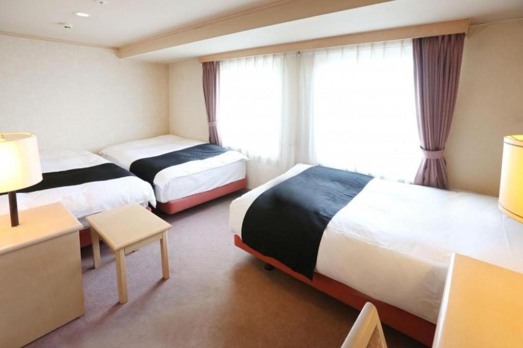 Apa Sapporo-susukino-ekiminami Hotel