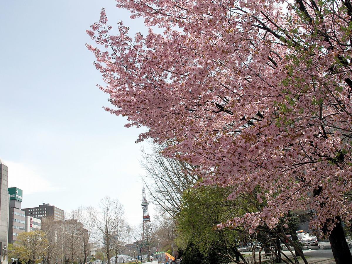 Apa & Sapporo