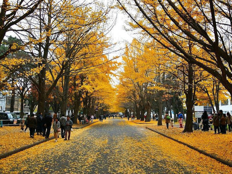 Wagayado -Hale- Sapporo