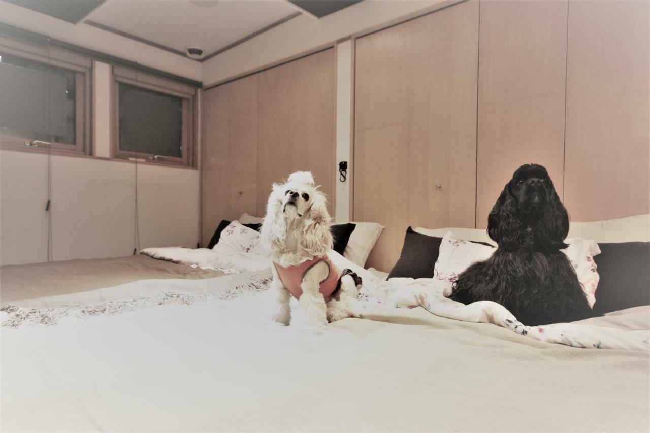 Apartment Hiraoka Dog