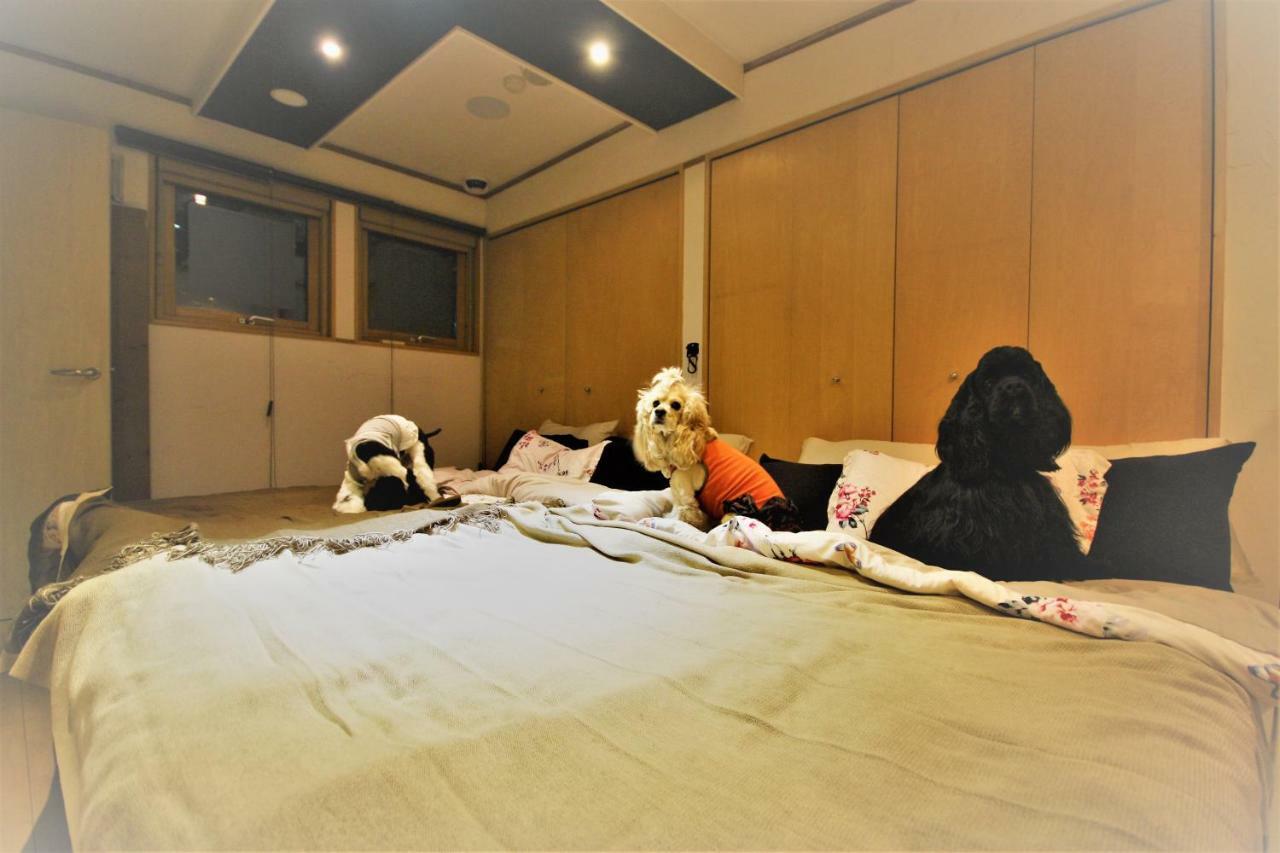Hiraoka Dog *