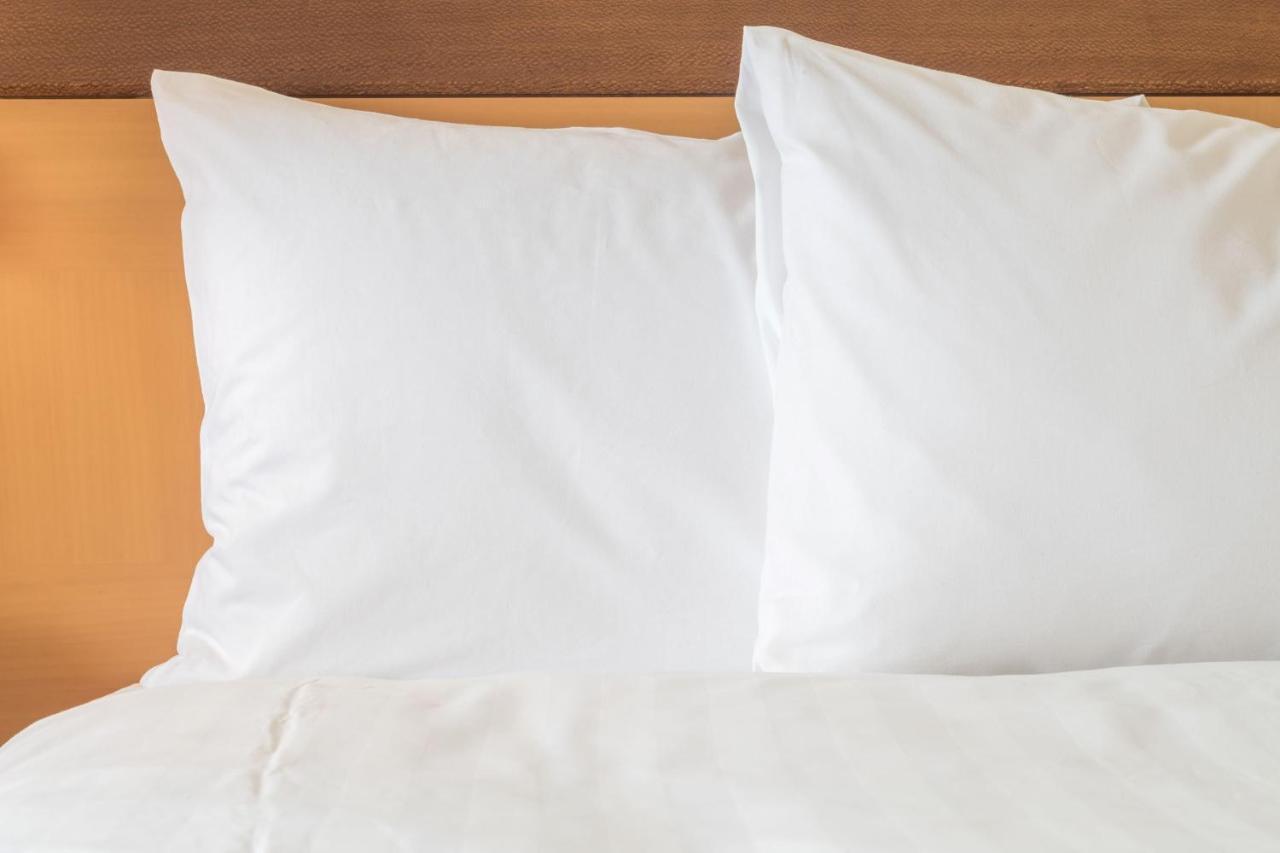Ana Susukino By Ihg Hotel 3*