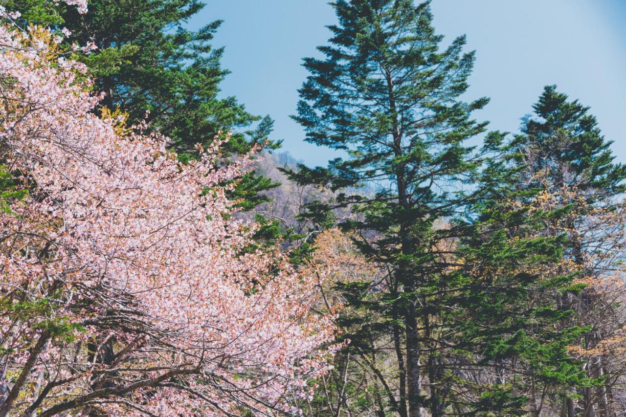 Okujozankei Onsen Kasho Gyoen 5* Sapporo