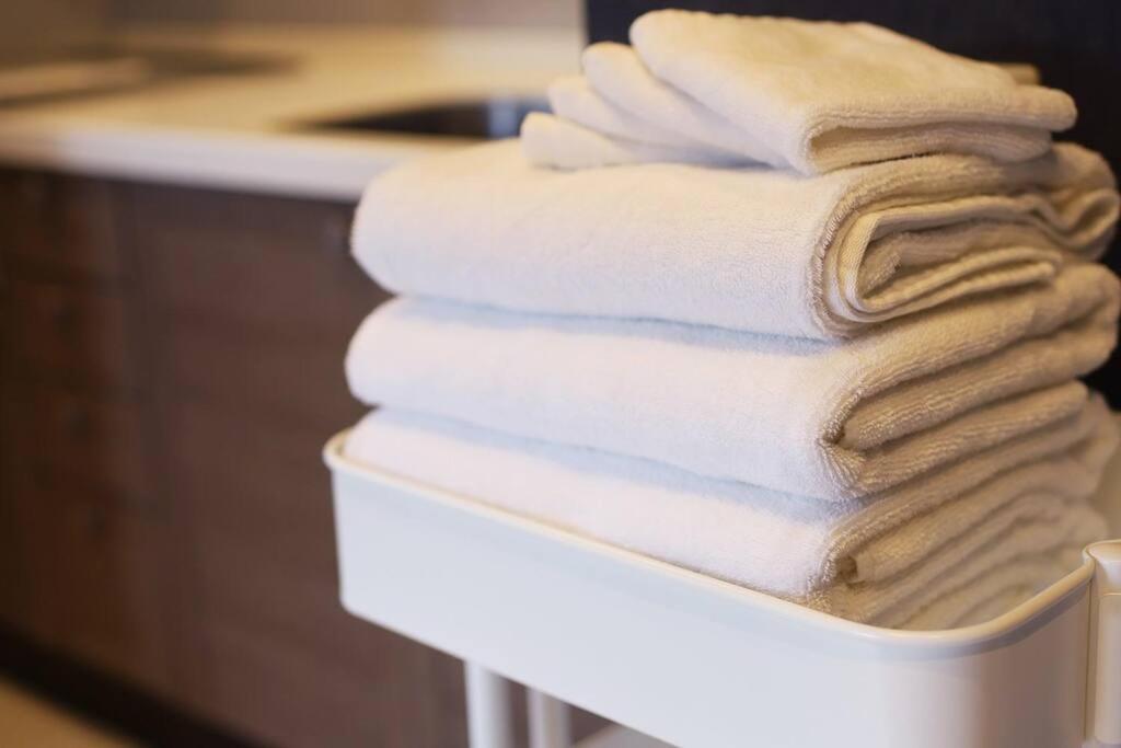 Molinhotels302 -sapporo Onsen Story- 1l1room Q-bed2&s-2 4persons Apartment Sapporo