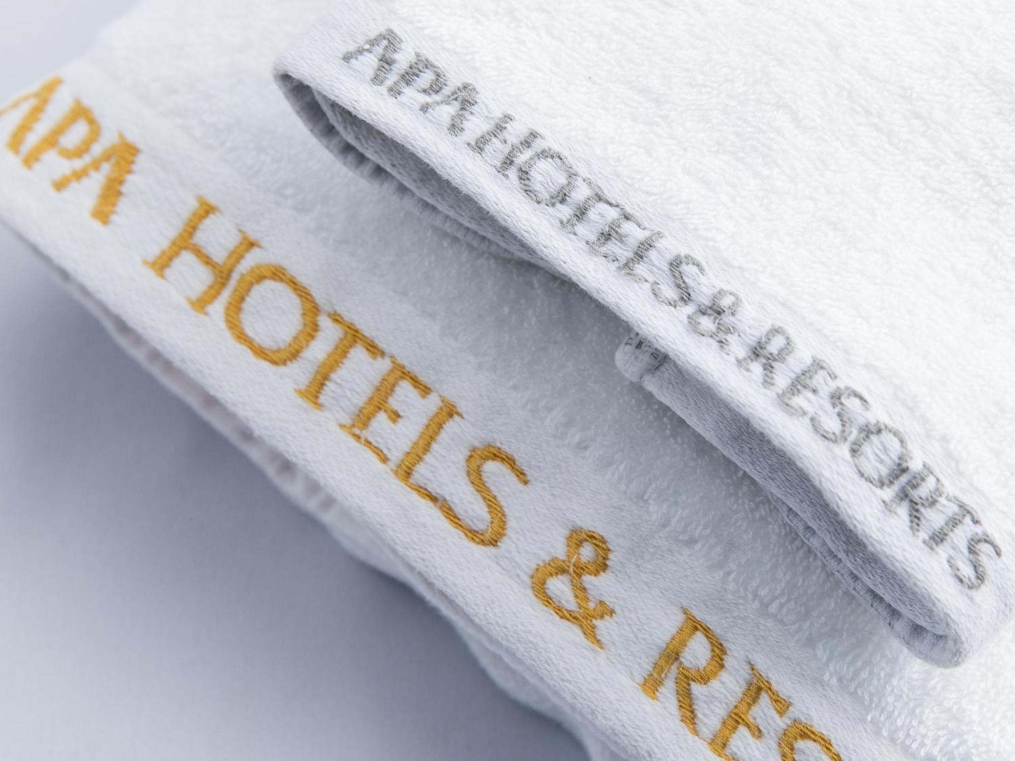 Hotel Apa Susukino Ekinishi 3*