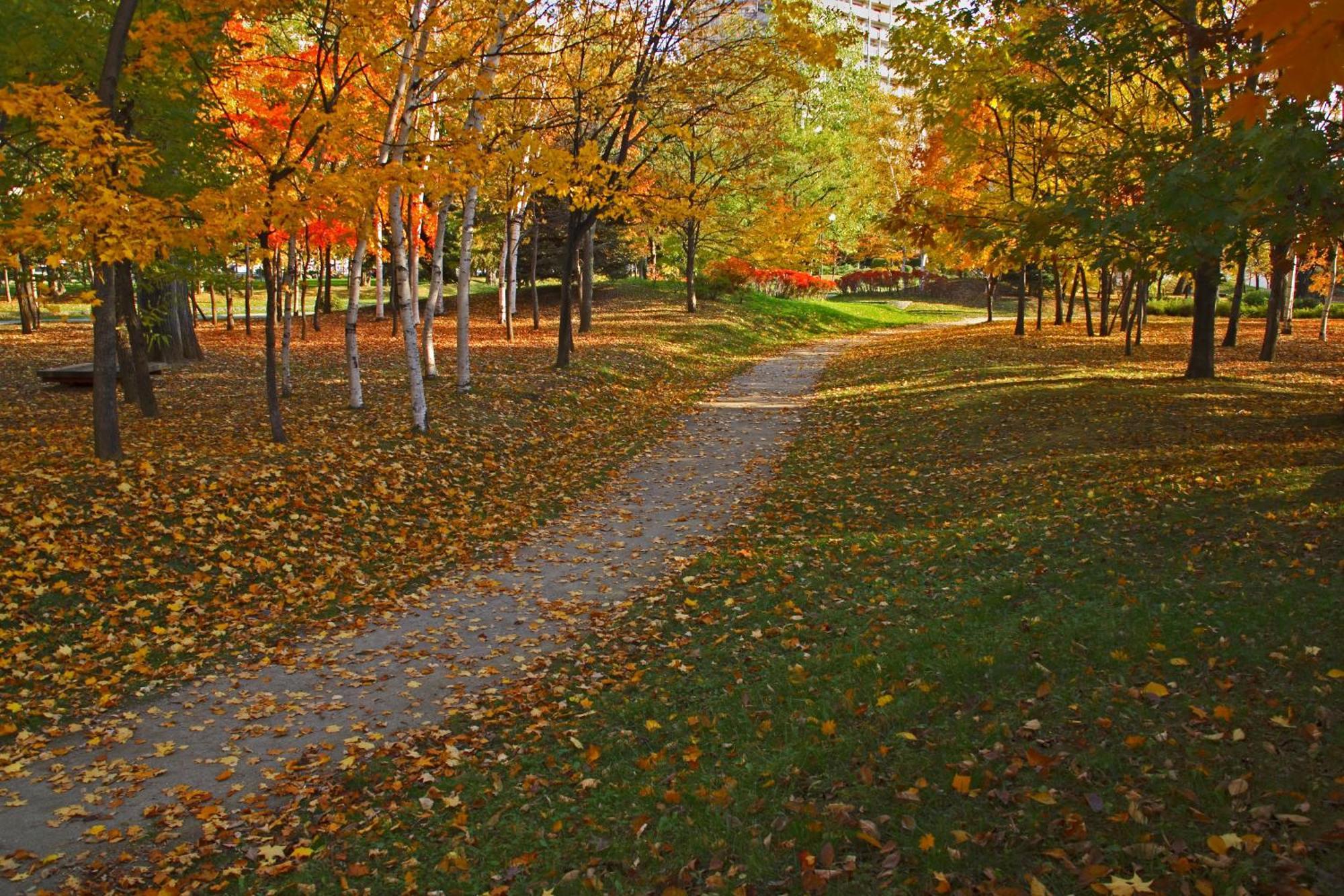 Park