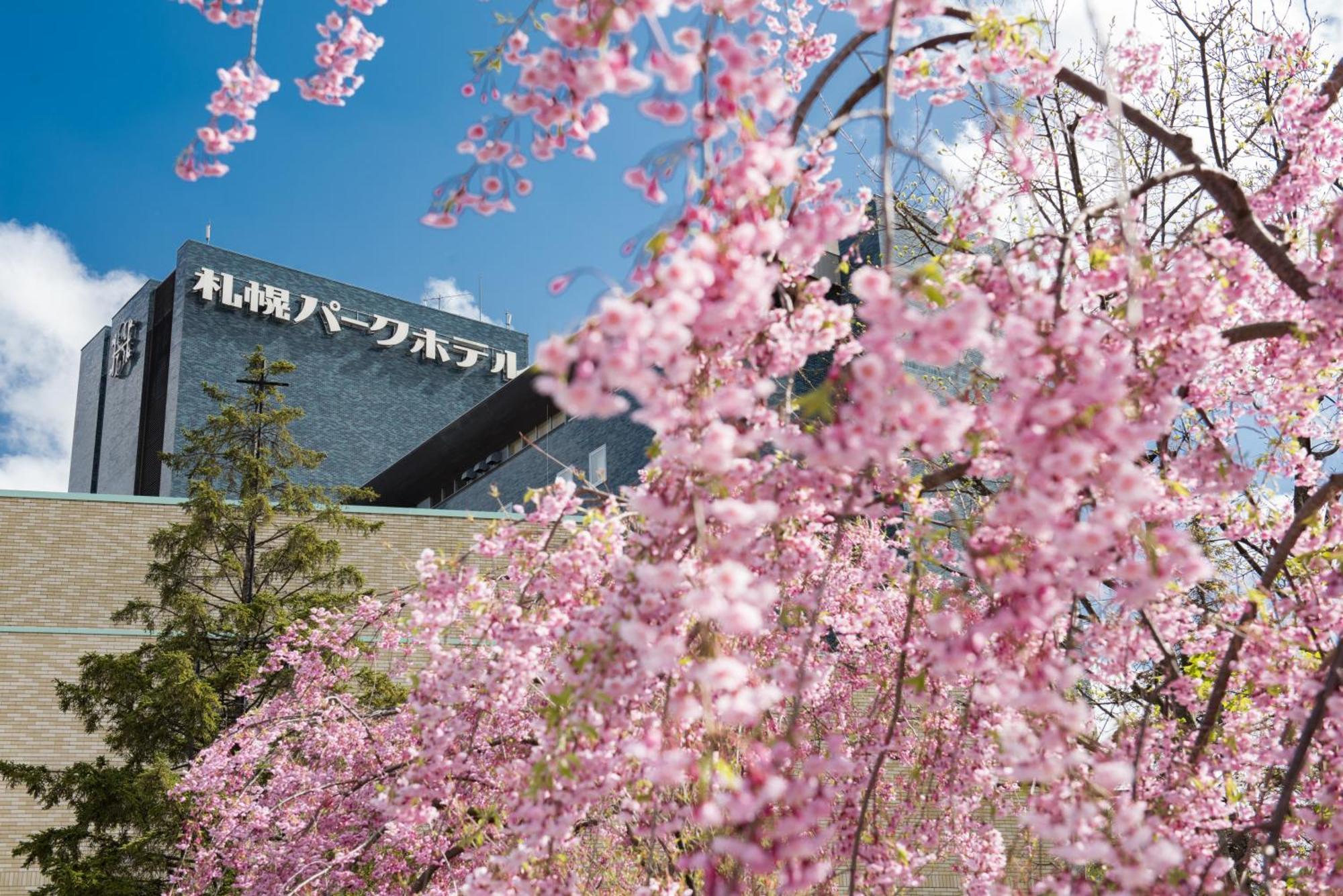 Park 5* Sapporo