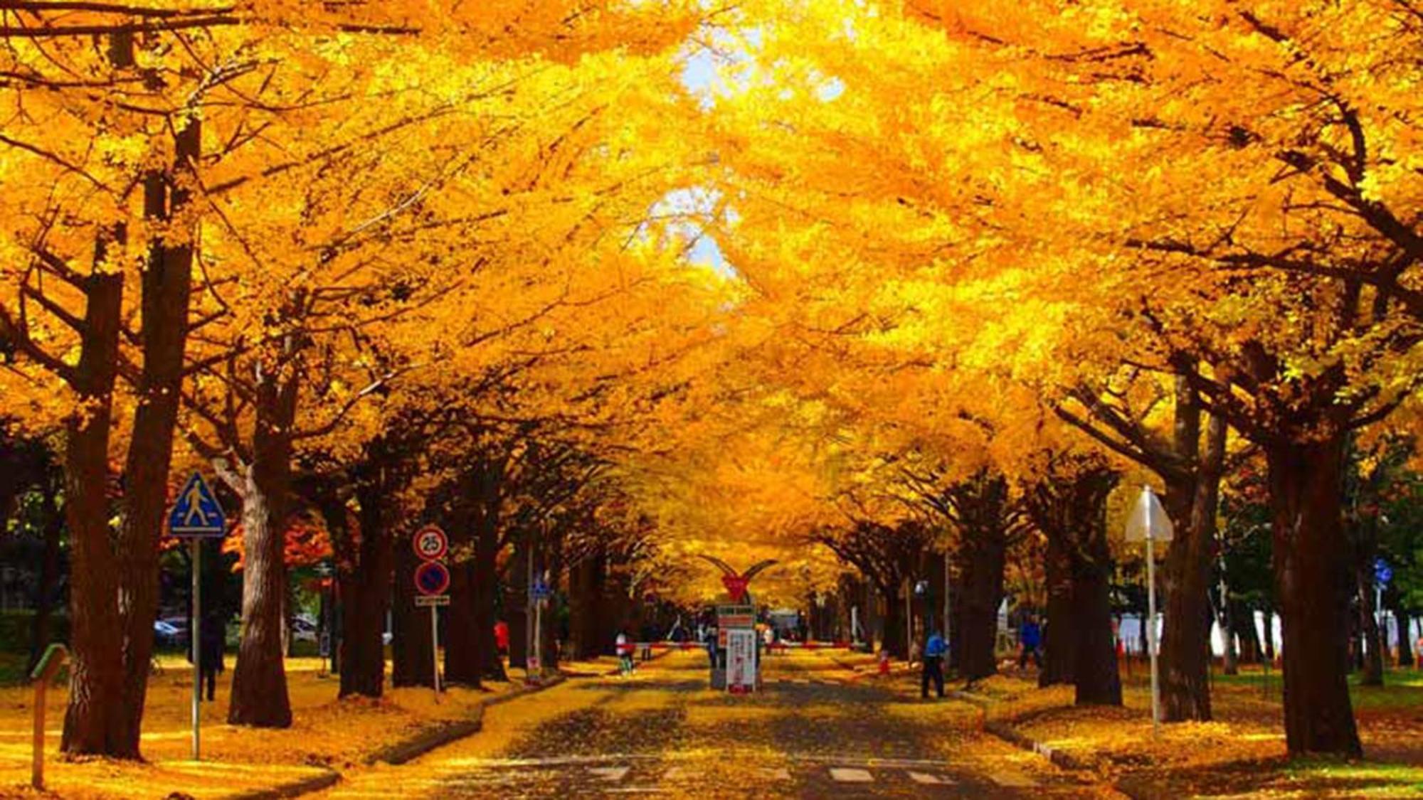 Toyoko Hokkaido Sapporo-eki Nishi-guchi Hokudai Mae Hotel Sapporo