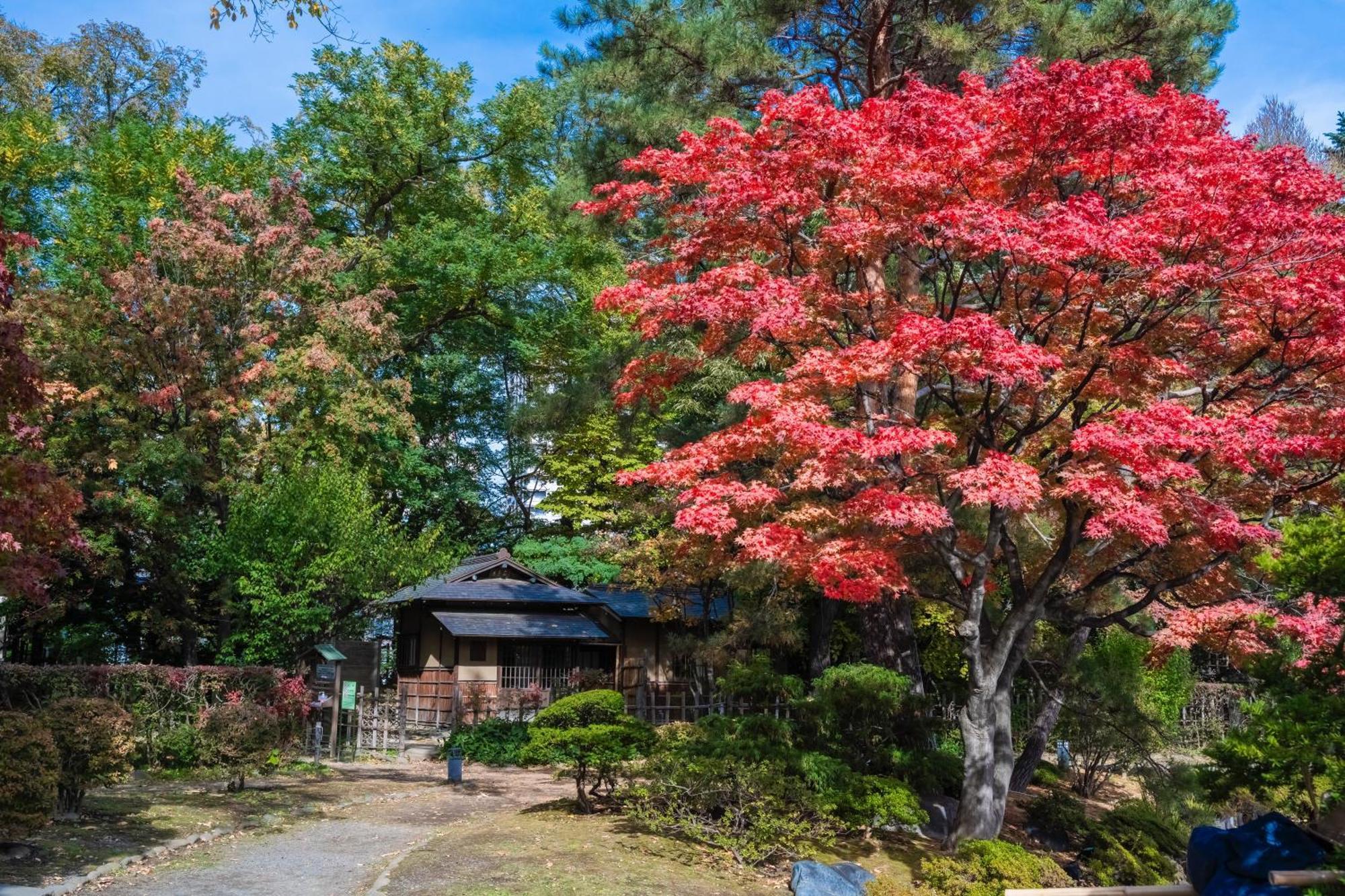 Mystays Nakajima Park Sapporo