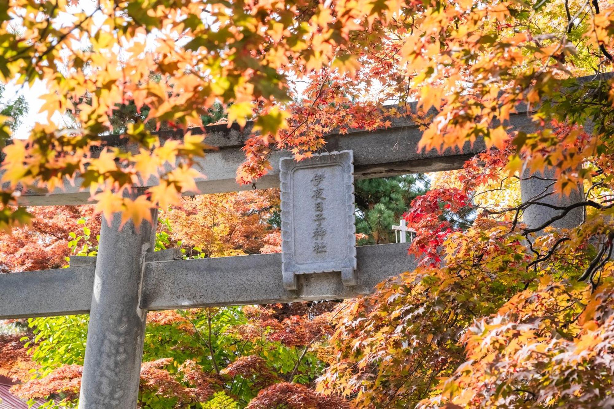 Mystays Nakajima Park Sapporo