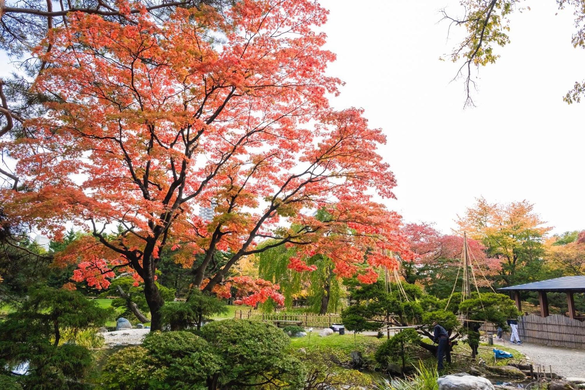 Mystays Nakajima Park Hotel