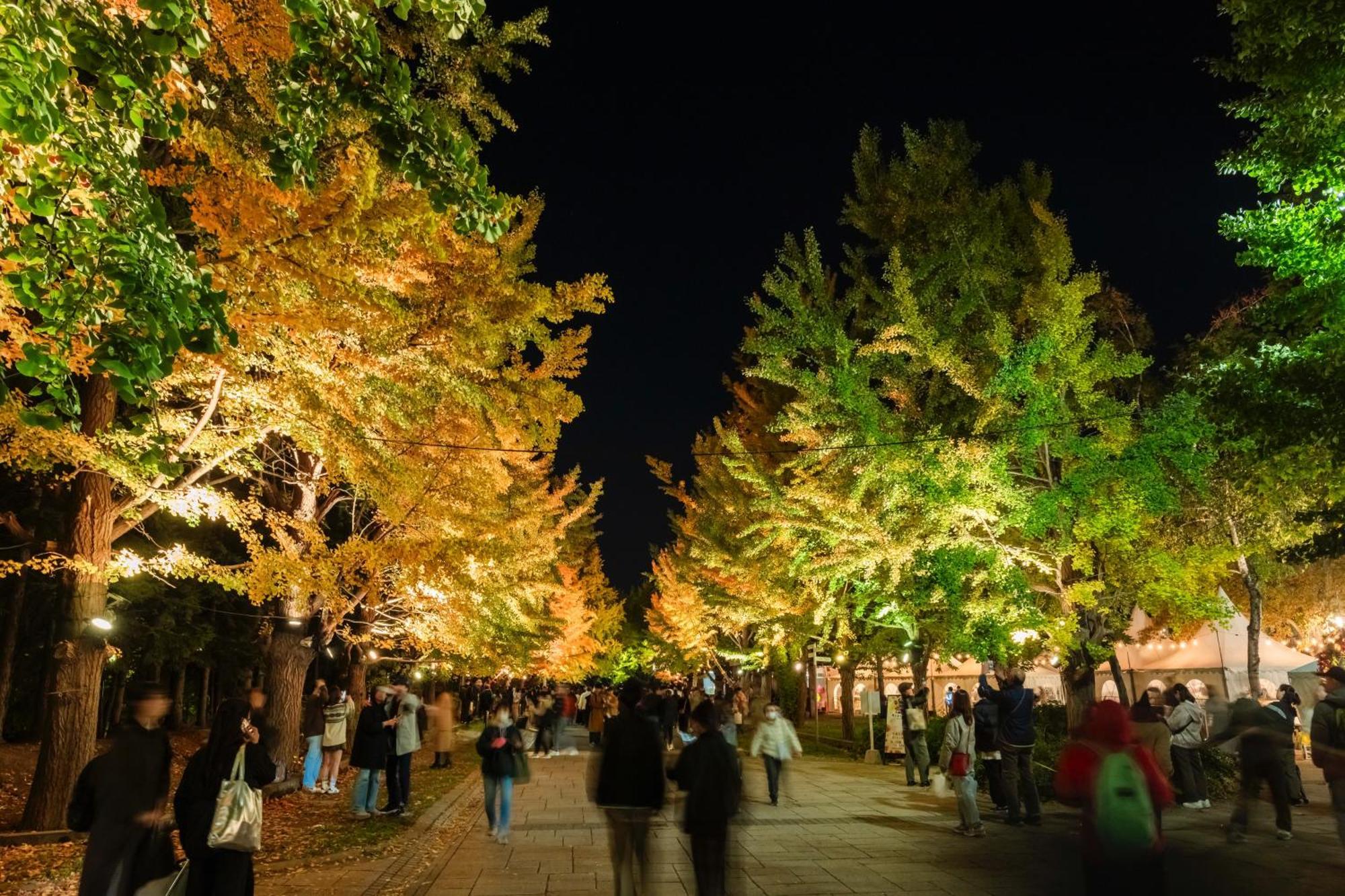 Mystays Nakajima Park Hotel 4*