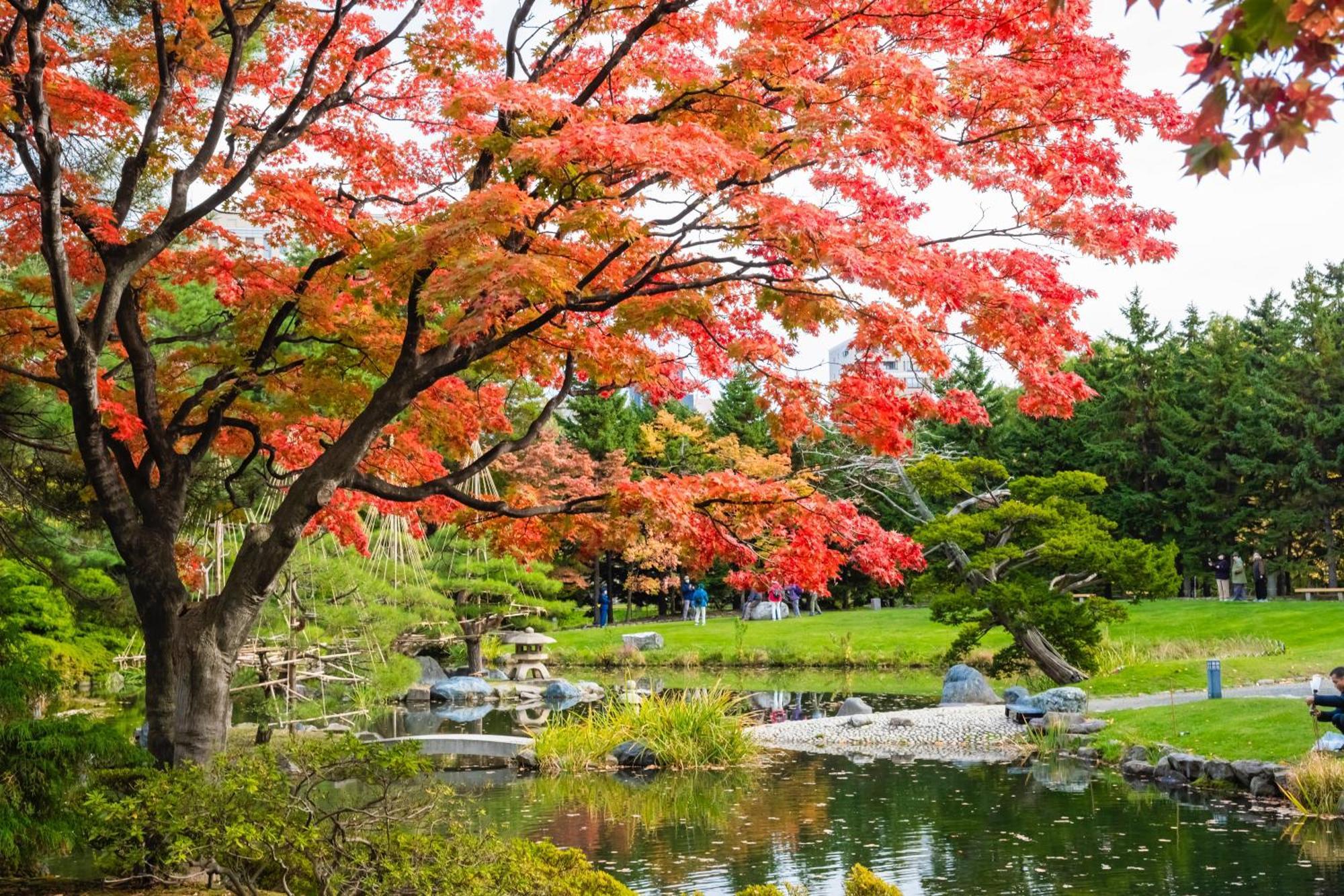 Mystays Nakajima Park 4*